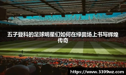 yy易游体育官网